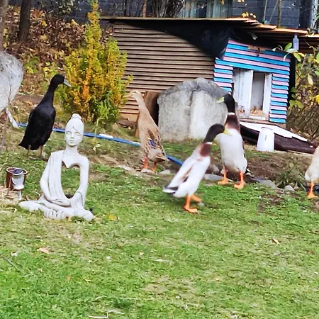 Sielskoanielsko K. Karpacza * Lomnica (Jelenia Gora)