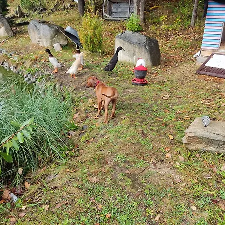 Venkovský dům Sielskoanielsko K. Karpacza