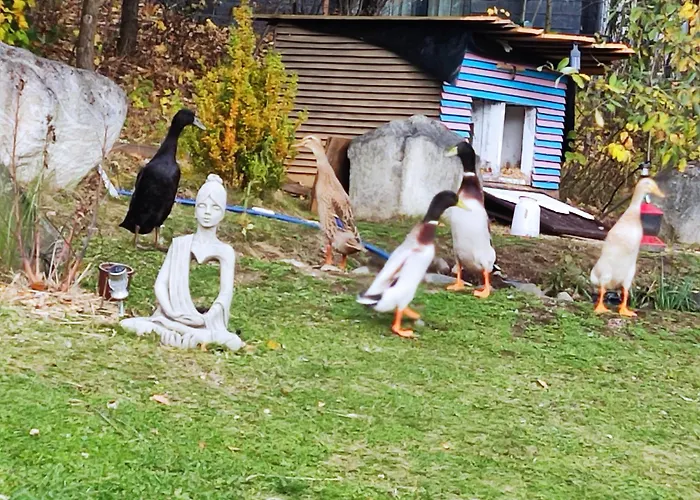 Sielskoanielsko K. Karpacza * لومنيكا