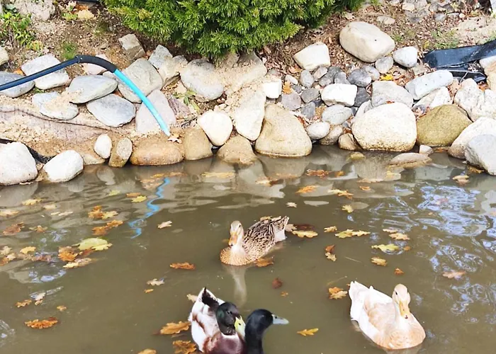 Sielskoanielsko K. Karpacza منزل ريفي