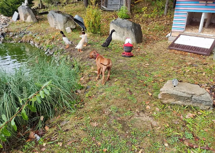 منزل ريفي Sielskoanielsko K. Karpacza